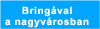 Bringával a nagyvárosban